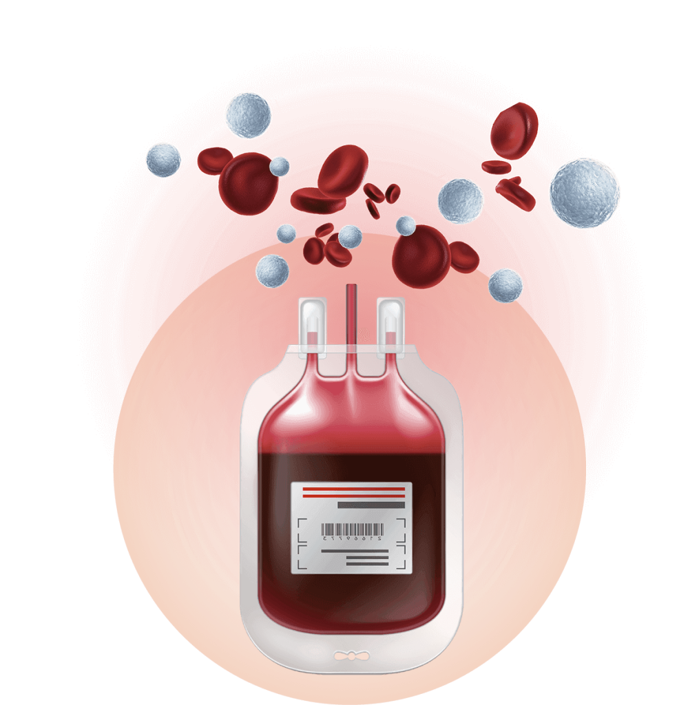 Cord Blood Banking Process