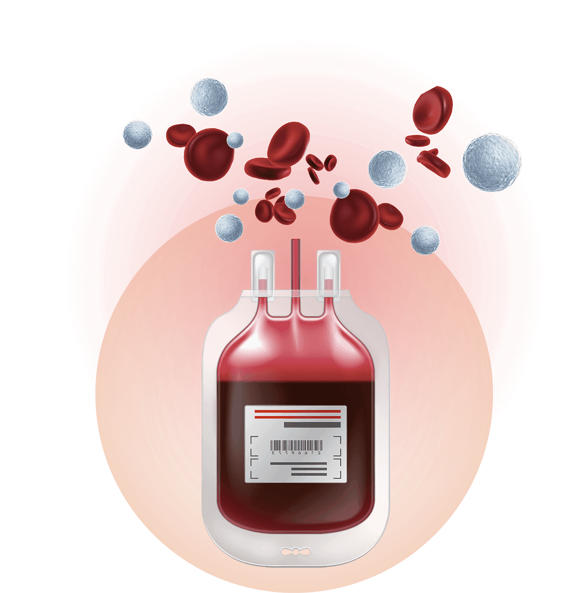 cord-blood-banking-benefits-process-and-uses-securicord