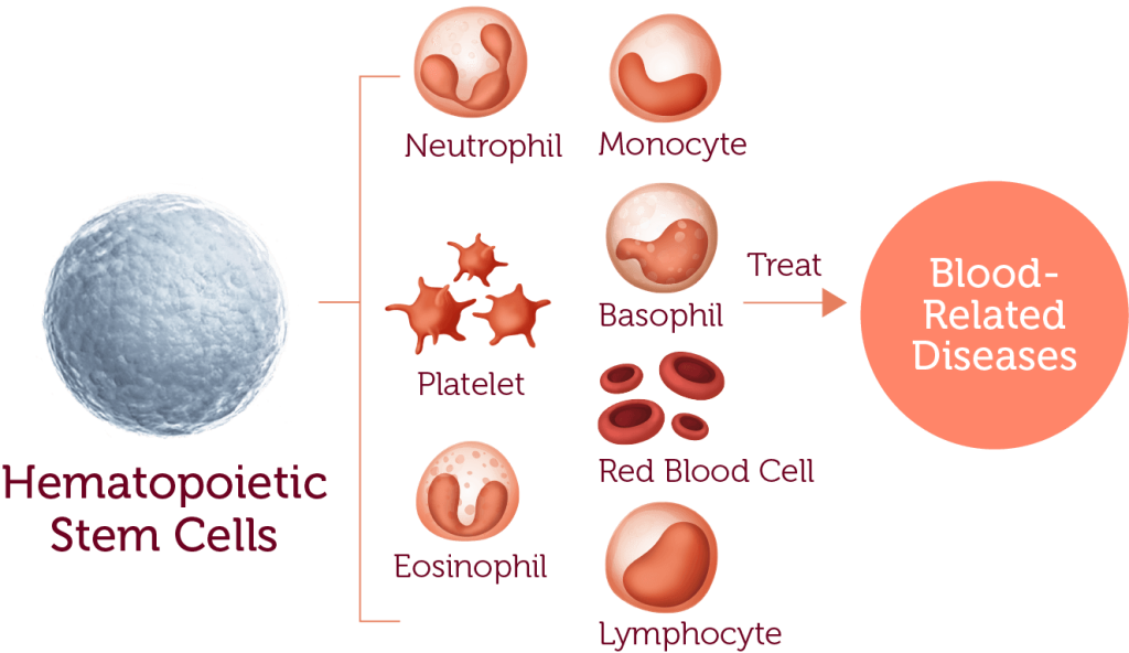 Why Bank Cord Blood?