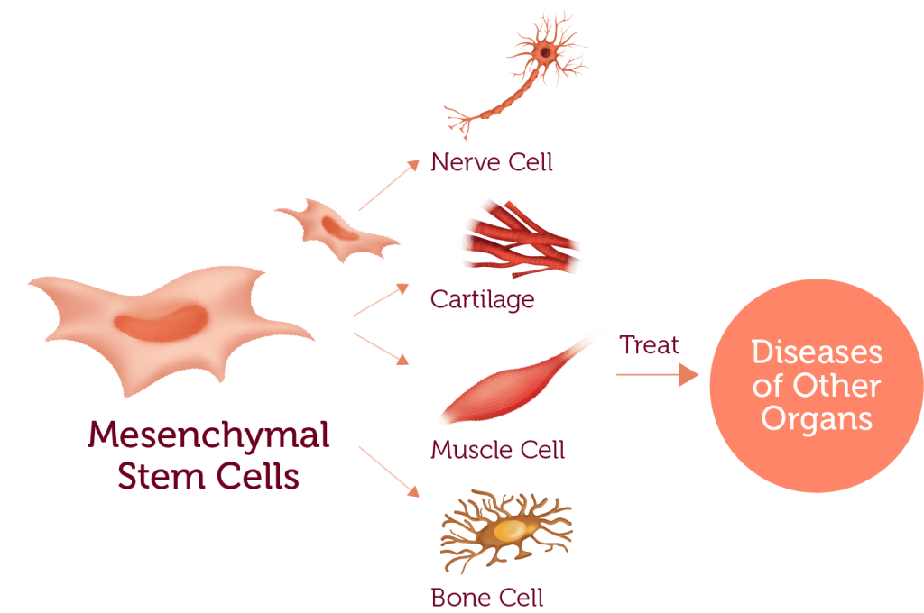 Why Bank Cord Blood?