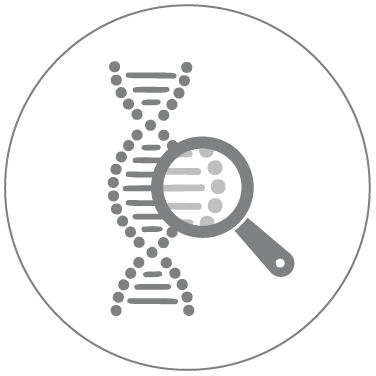 Cord Blood Banking Process