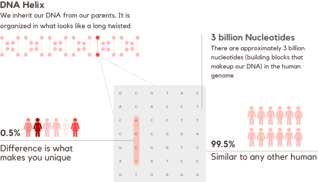 Dna Insights